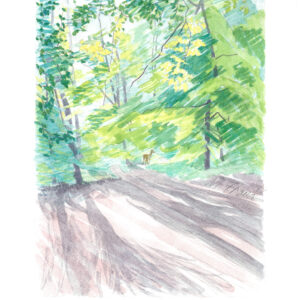 Landscape Watercolour Painting